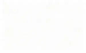 White Cotton, 100%  Cotton 1Ply Broadcloth