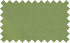 Asparagus Green, 100% Cotton
