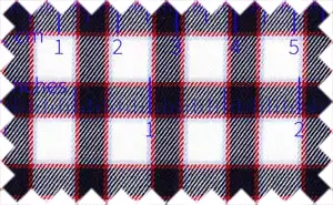Venetian Red/Tropical Blue/Black/White Checks, 100% Cotton